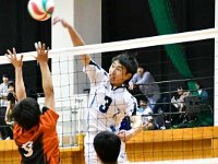 volleyball male 08